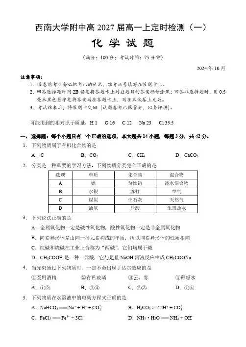 重庆西南大学附属中学2024年高一10月检测化学试题及答案