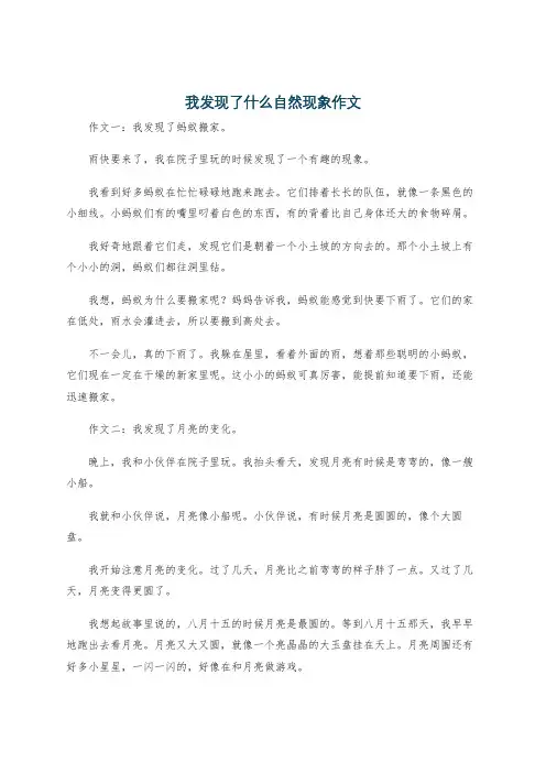 我发现了什么自然现象作文