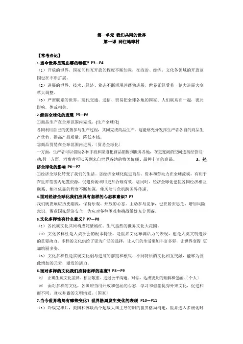 人教版道德与法治九年级下册知识点