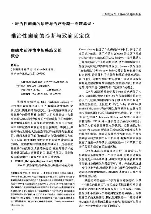 癫痫术前评估中相关脑区的概念