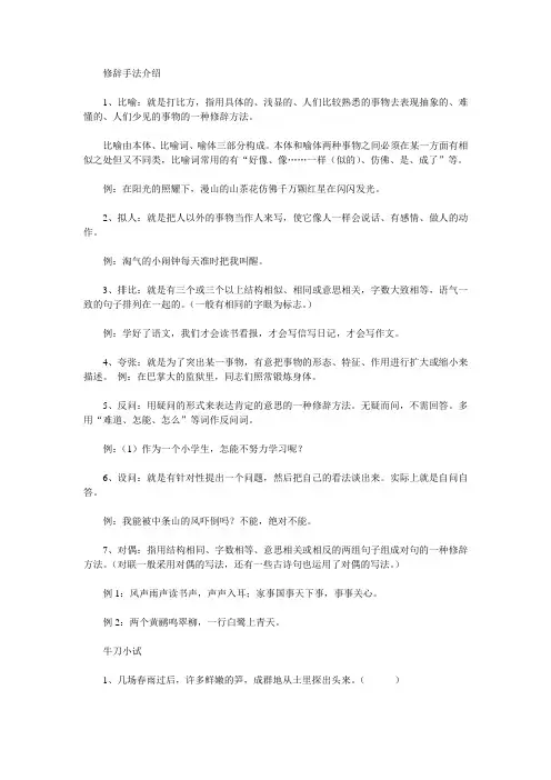 修辞手法介绍