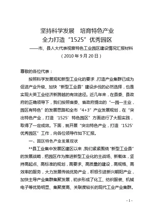 市、县人大代表视察特色工业园区建设情况汇报材料