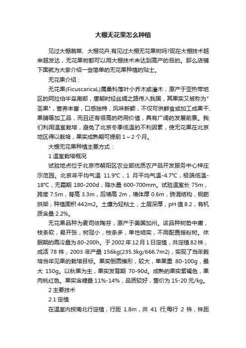 大棚无花果怎么种植