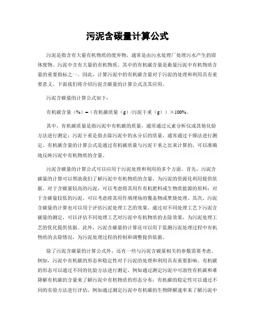 污泥含碳量计算公式