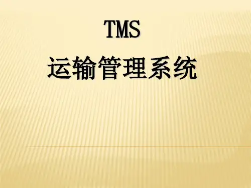MS运输管理系统PPT课件