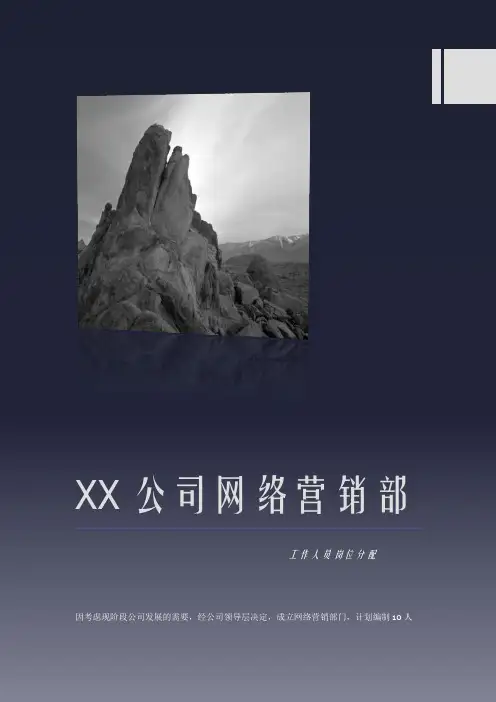分享网络营销部人员分工方案.doc