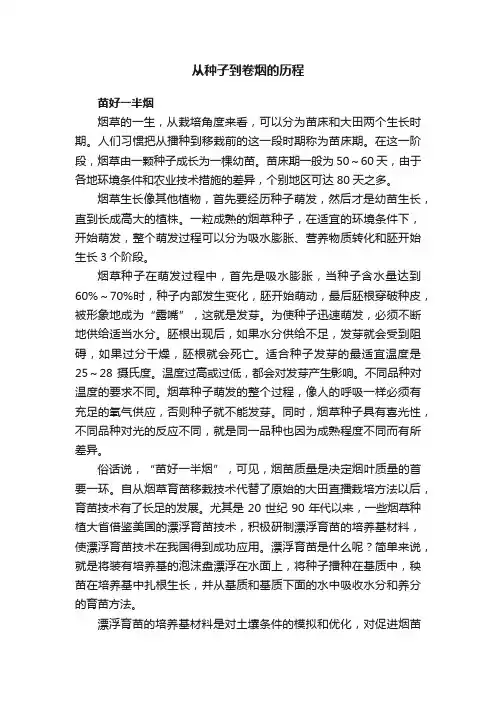 从种子到卷烟的历程