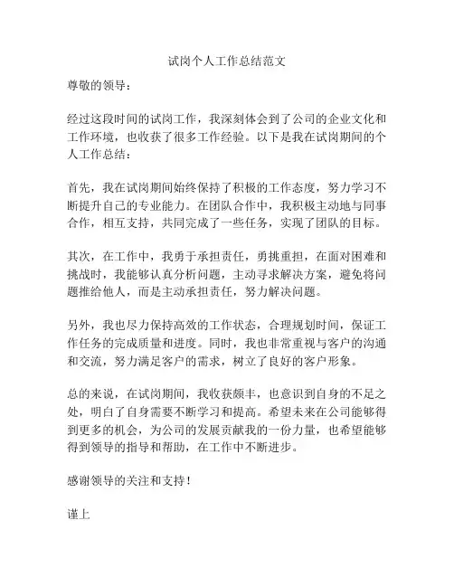 试岗个人工作总结范文
