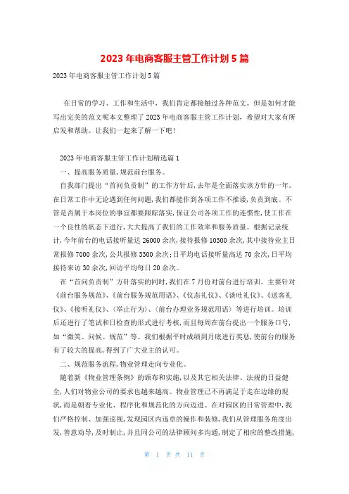 2023年电商客服主管工作计划5篇