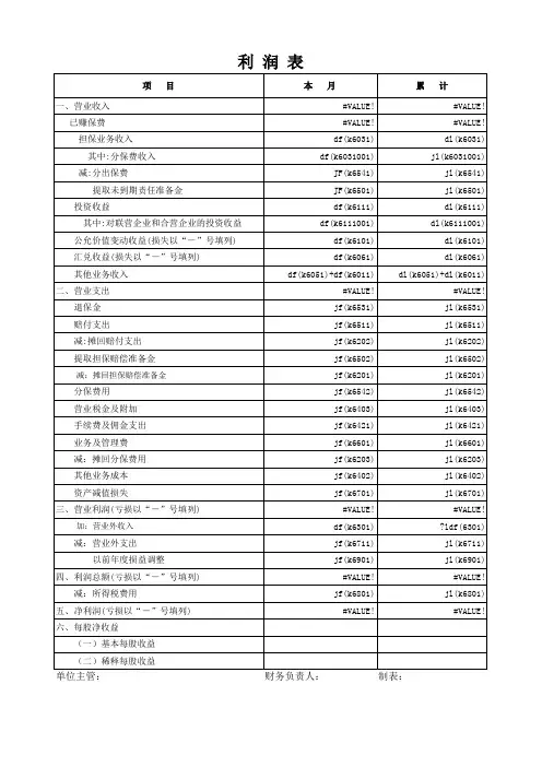 融资担保利润表