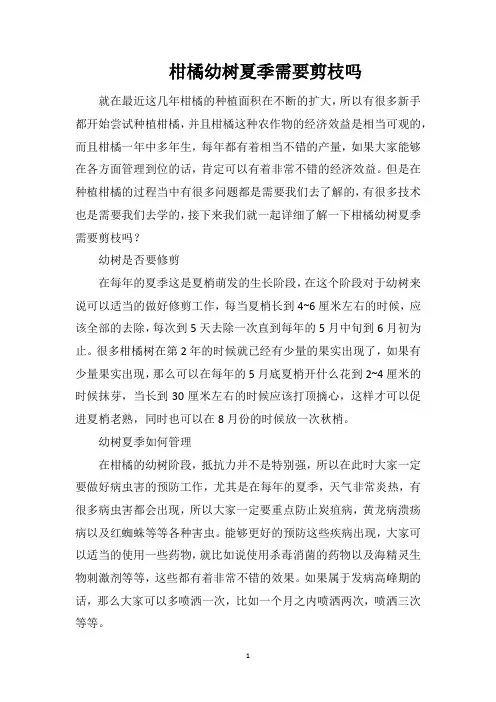 柑橘幼树夏季需要剪枝吗