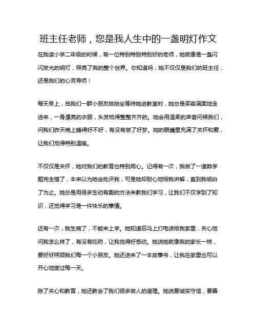 班主任老师,您是我人生中的一盏明灯作文