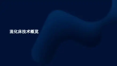 流化床技术的概述
