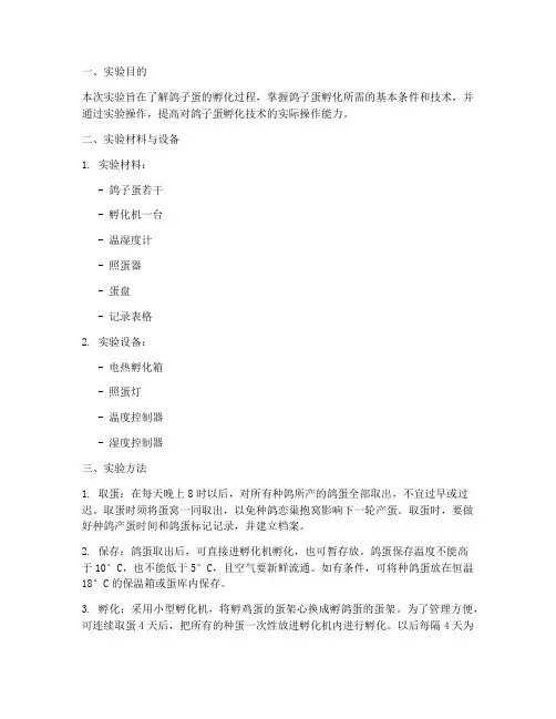 鸽子蛋孵化实验报告