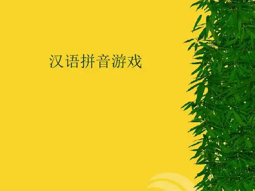2021新汉语拼音游戏专业资料