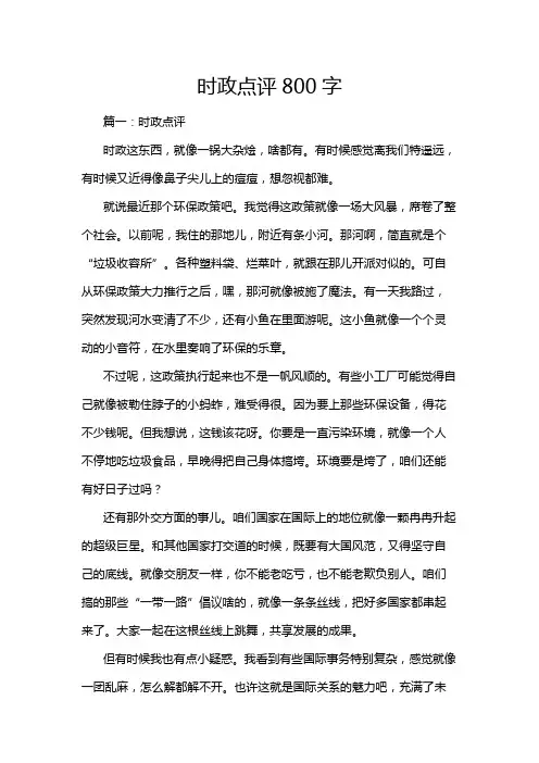 时政点评800字