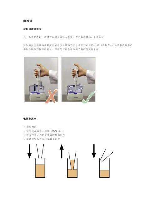 移液器的正确使用