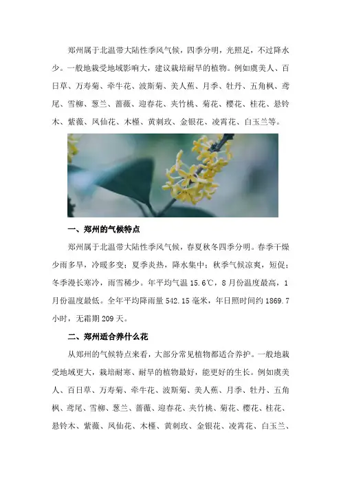 郑州适合养什么花,市花和市树是什么