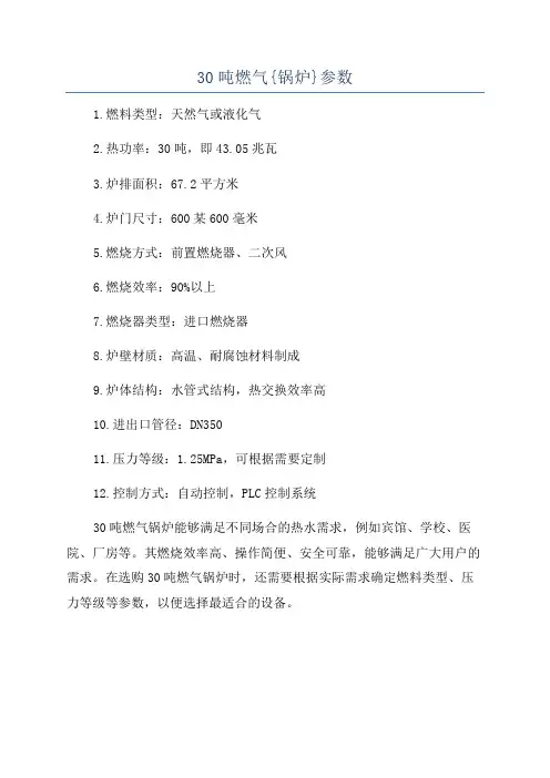 30吨燃气{锅炉}参数
