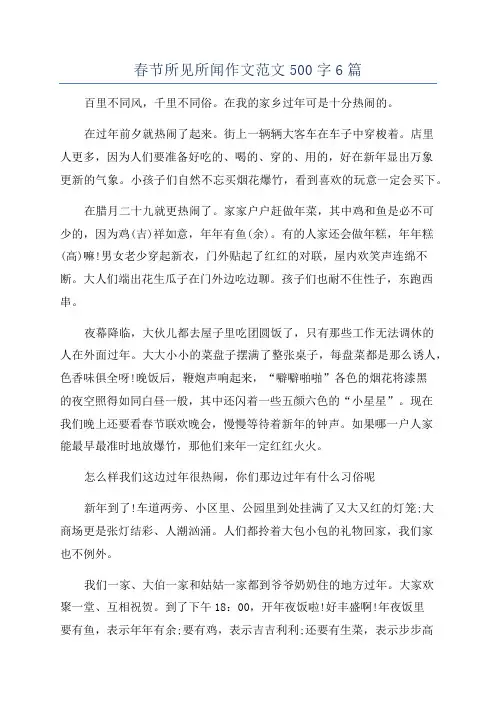 春节所见所闻作文范文500字6篇