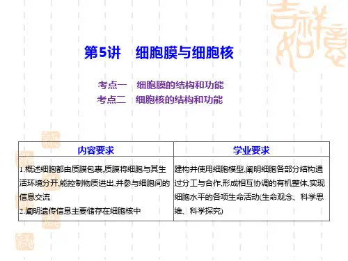 2023届高三生物一轮复习课件第3章+细胞的基本结构
