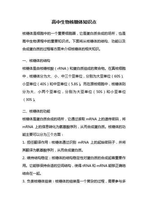 高中生物核糖体知识点