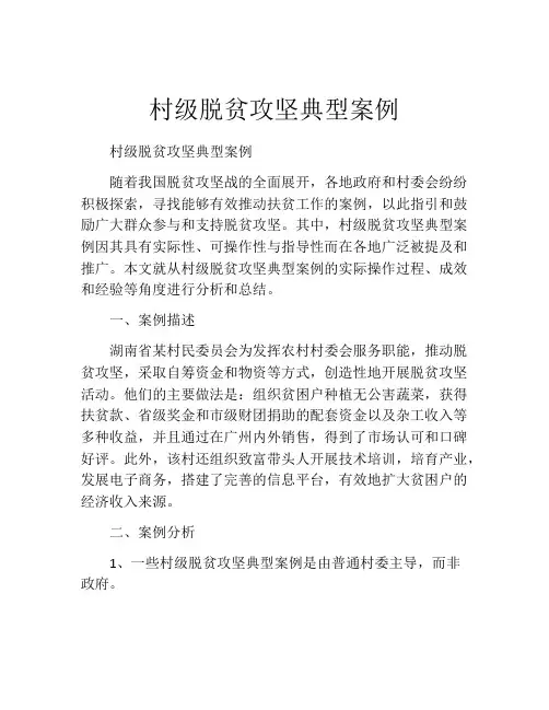 村级脱贫攻坚典型案例 