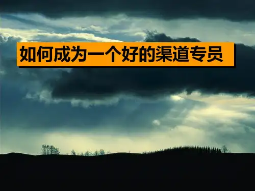 如何成为一名合格的渠道专员 ppt课件