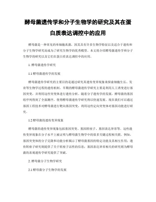 酵母菌遗传学和分子生物学的研究及其在蛋白质表达调控中的应用