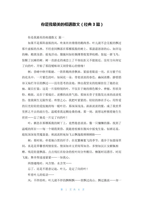 你是我最美的相遇散文(经典3篇)