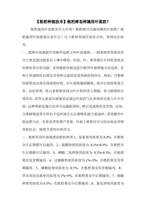【枇杷种植技术】枇杷树怎样施用叶面肥？