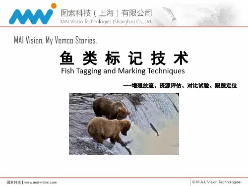 鱼类标记鱼类标签
