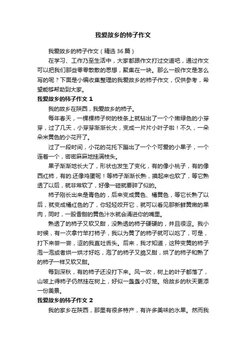 我爱故乡的柿子作文（精选36篇）