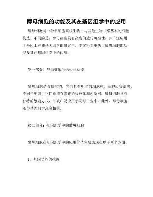 酵母细胞的功能及其在基因组学中的应用