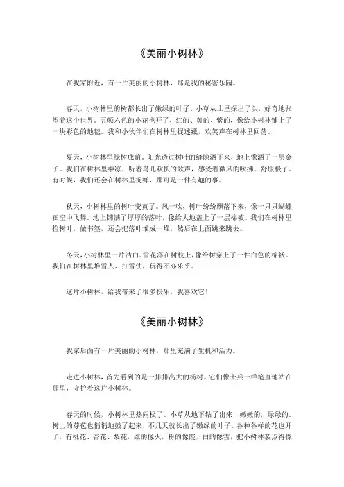 美丽小树林作文300