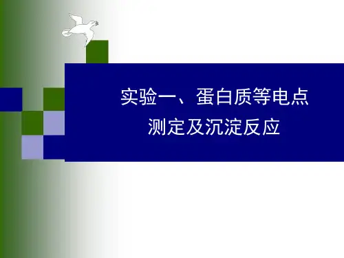 实验蛋白质的等电点测定和沉淀反应ppt课件