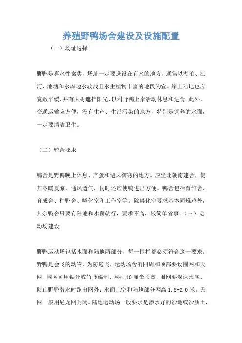 养殖野鸭场舍建设及设施配置