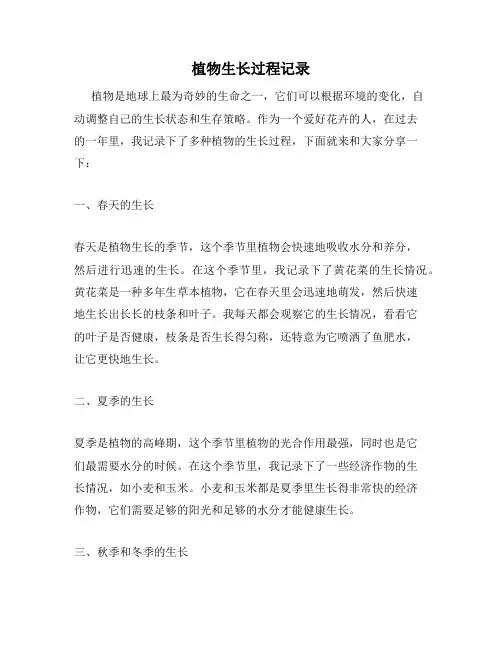 植物生长过程记录