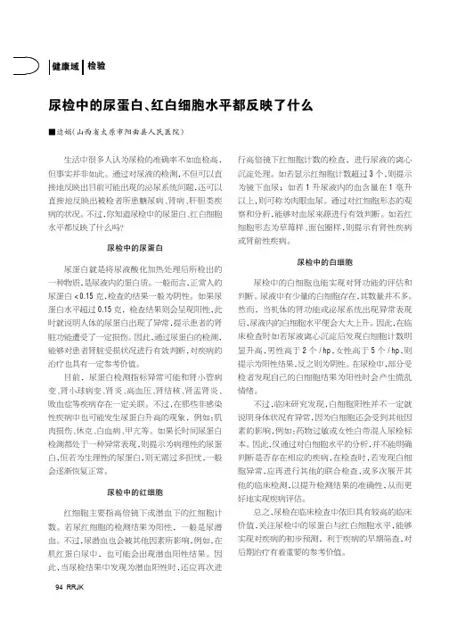 尿检中的尿蛋白、红白细胞水平都反映了什么