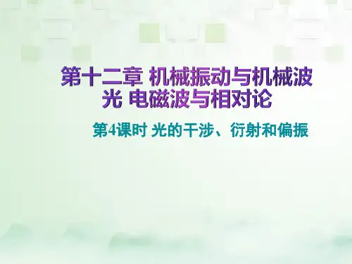 高三物理一轮复习精品课件6：12.4 光的干涉、衍射和偏振