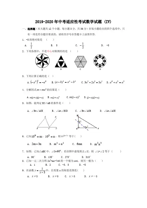 2019-2020年中考适应性考试数学试题 (IV)