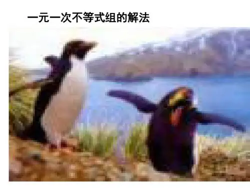 不等式组的解法2