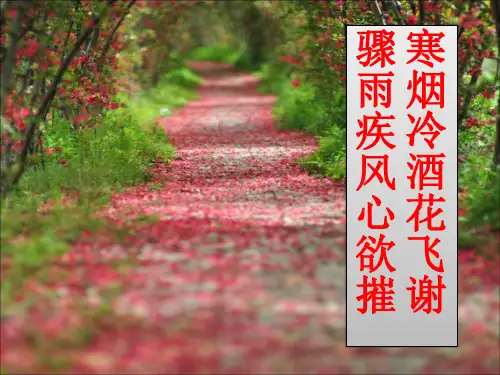 李清照词两首精品课件