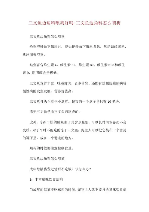 三文鱼边角料喂狗好吗-三文鱼边角料怎么喂狗