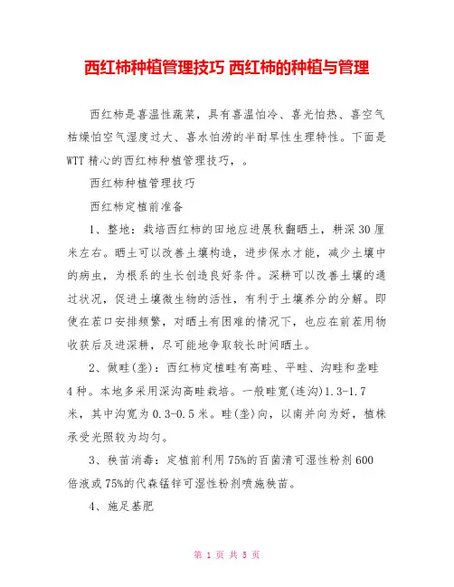 西红柿种植管理技巧西红柿的种植与管理