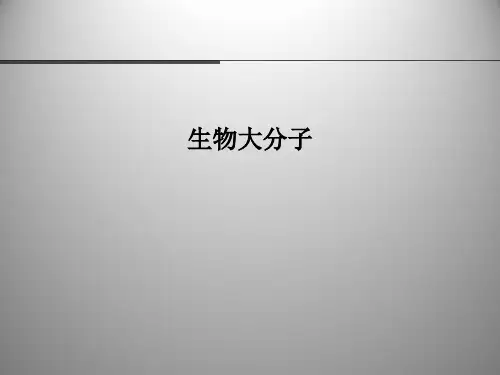 生物大分子  PPT课件