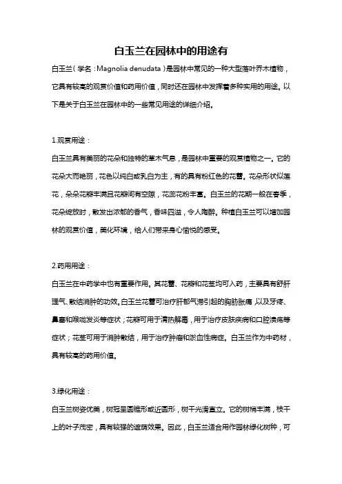 白玉兰在园林中的用途有