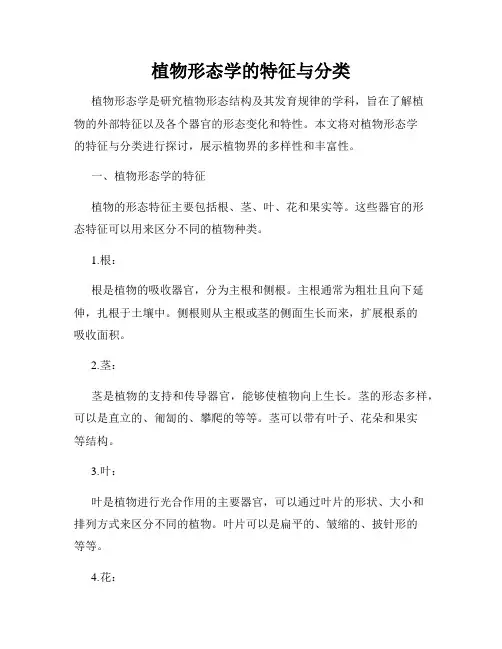 植物形态学的特征与分类