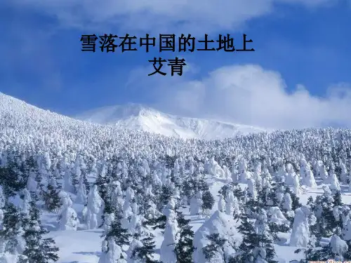 雪落在中国的土地上课件