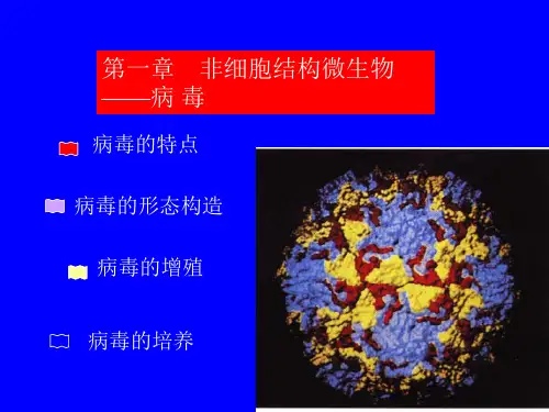 非细胞结构微生物-病毒